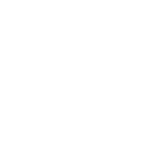 Tailored for Organisations